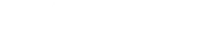 Notch Technology
